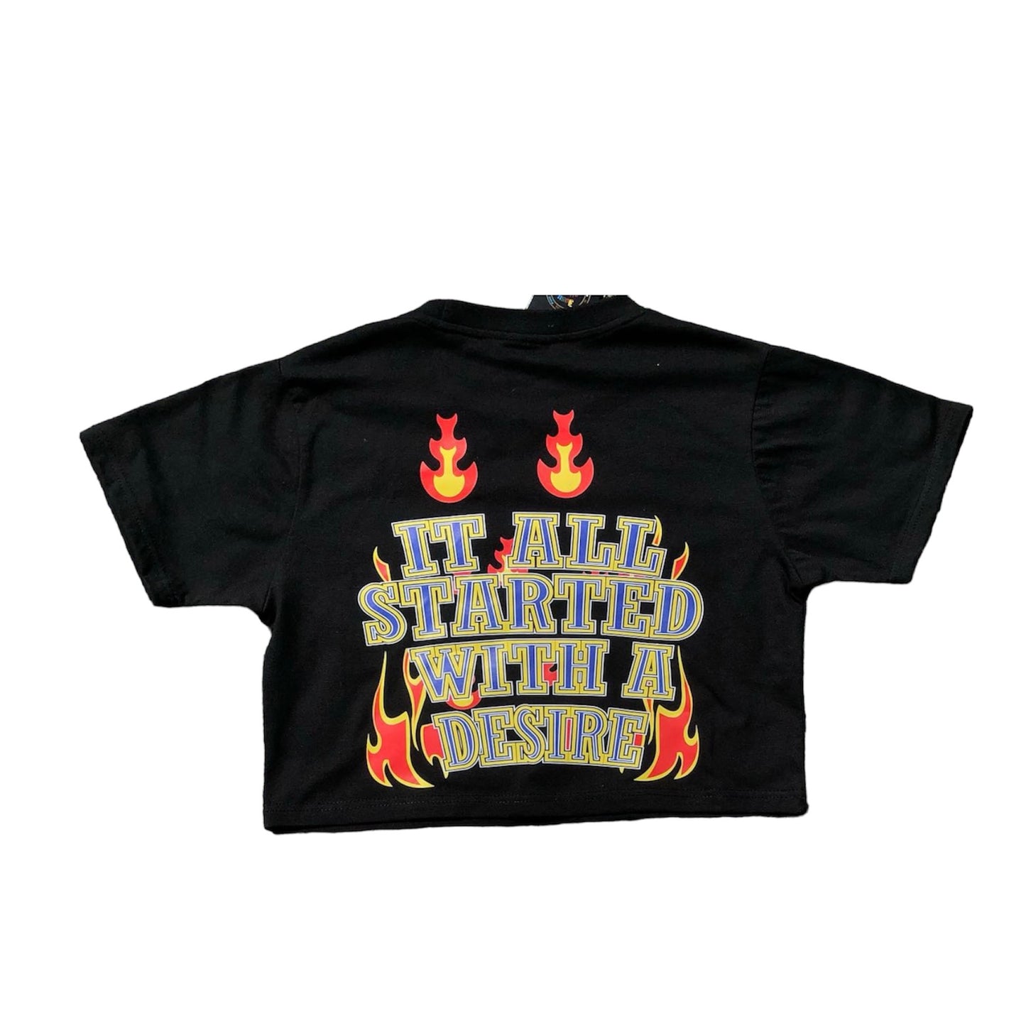 Crop Top ( Burning Desire )