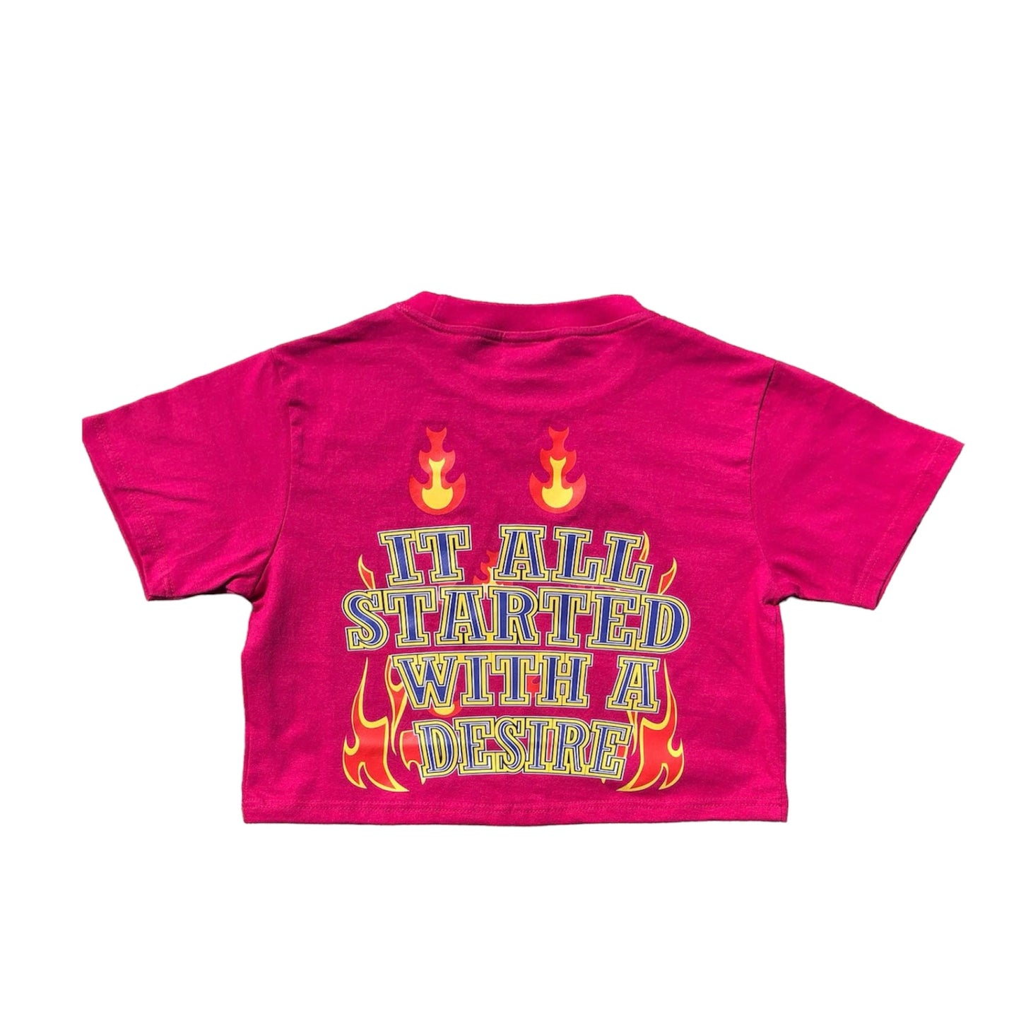 Crop Top ( Burning Desire )